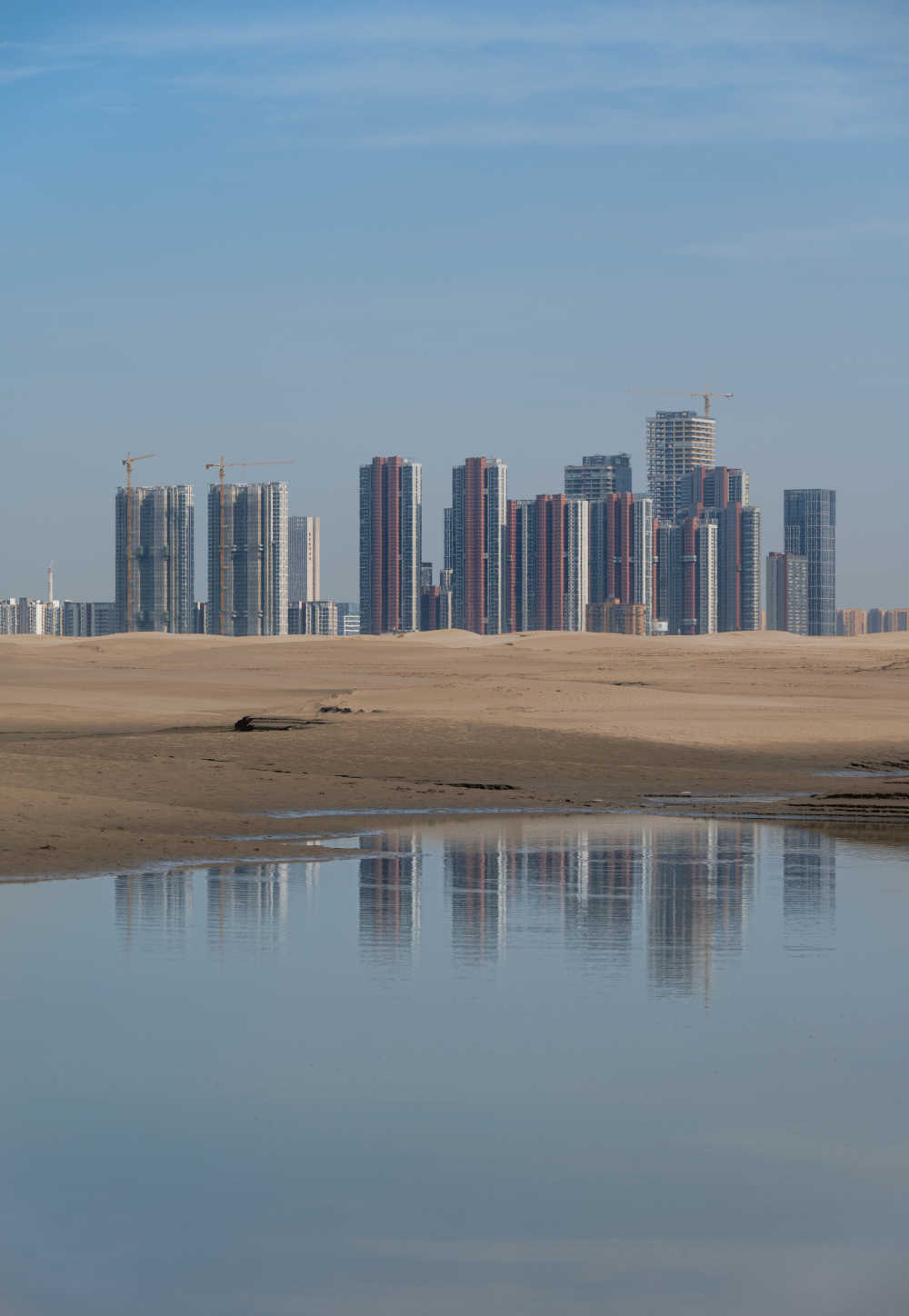 武汉天兴洲湿地