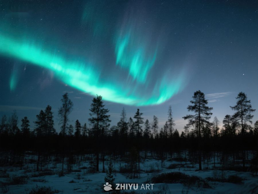 极光下的静谧森林夜景 37