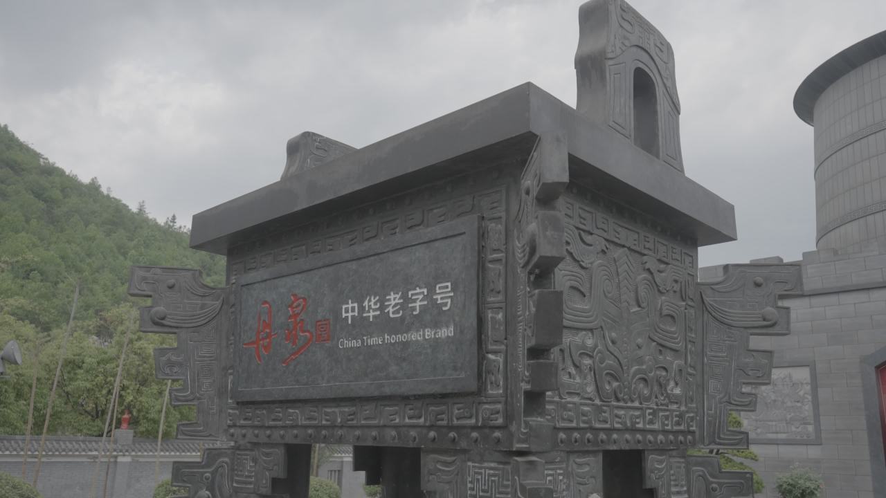 洞天盛境 10