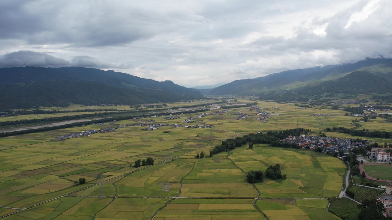 金黄色的水稻田 山谷平原