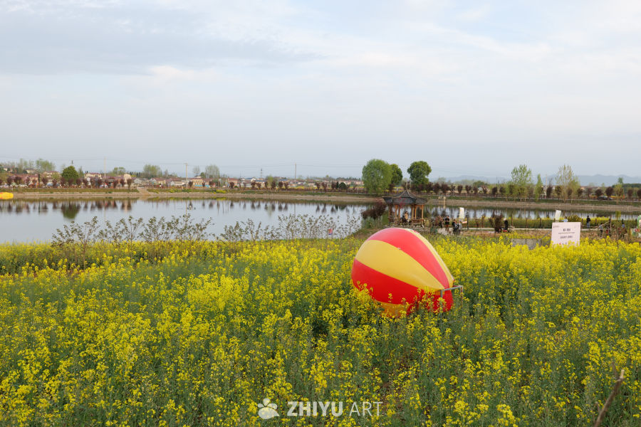 油菜花海 11