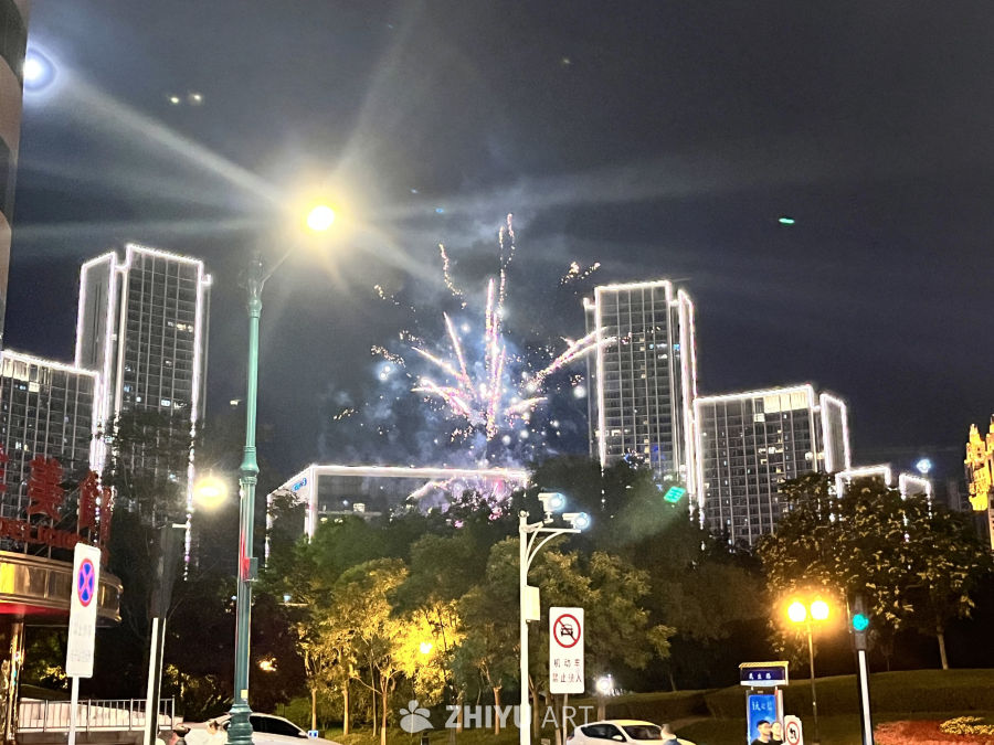 城市夜空下的烟花盛宴