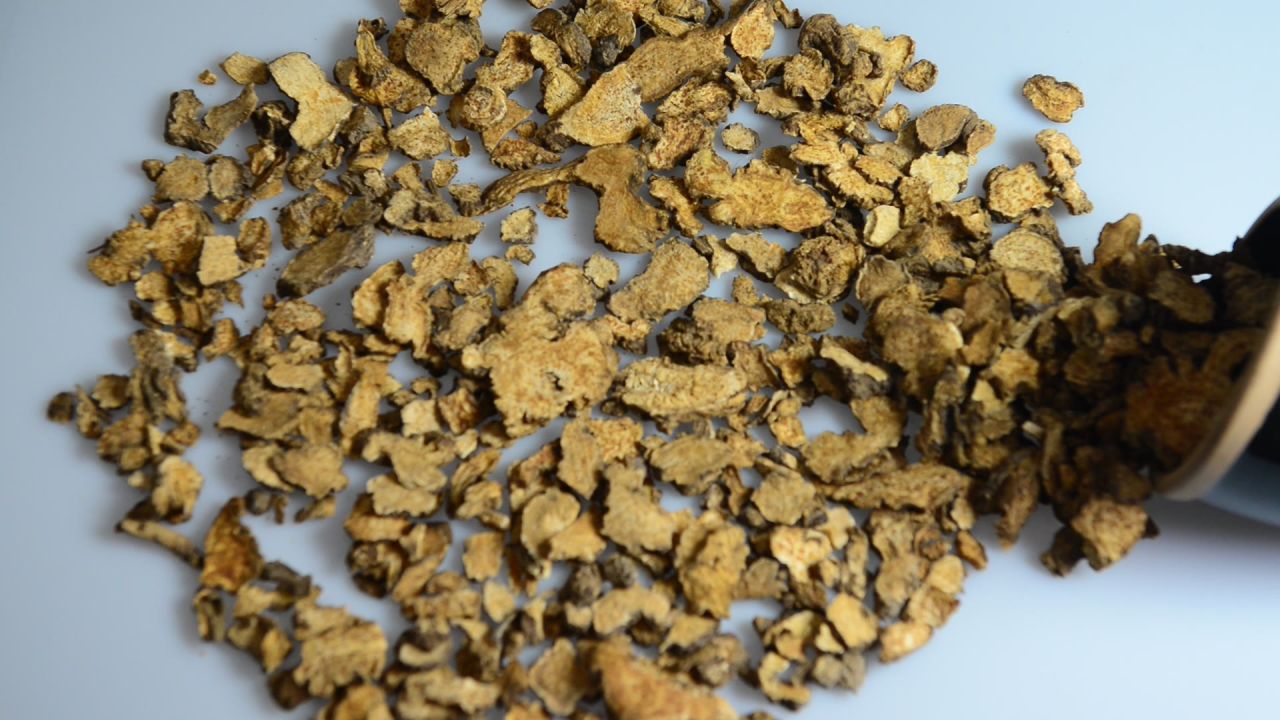 中药材苍术 31