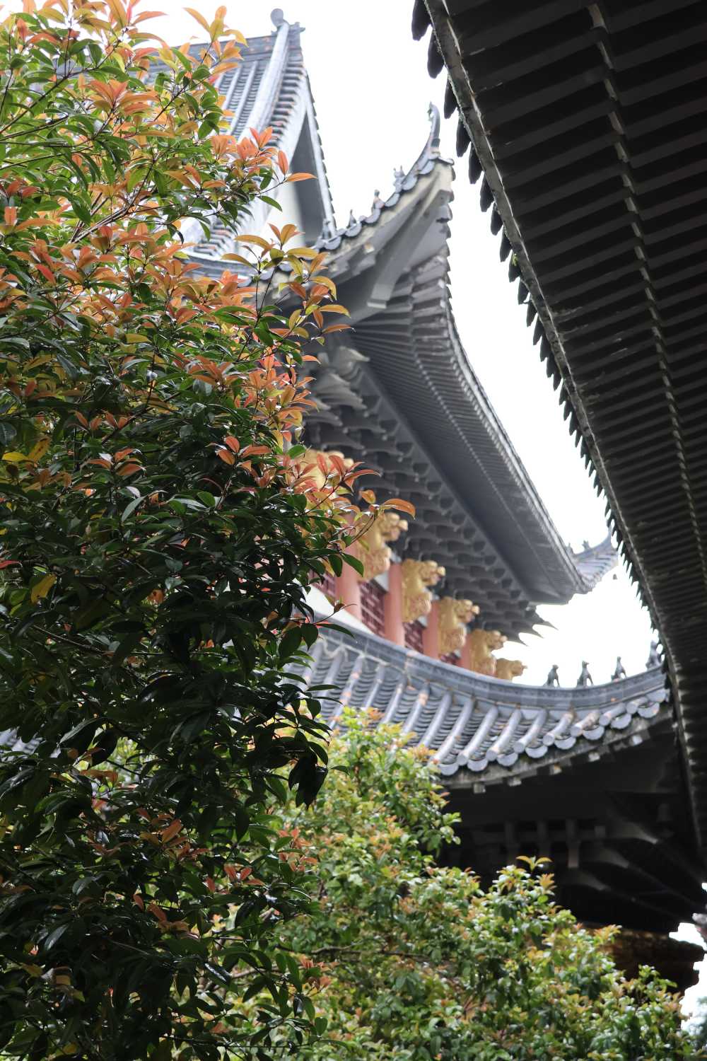 莲花寺