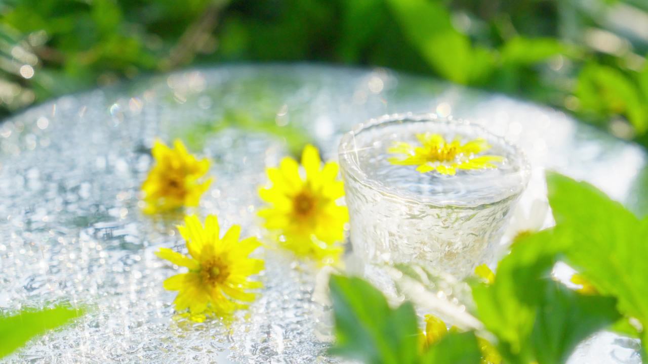 水中花闪耀着光芒