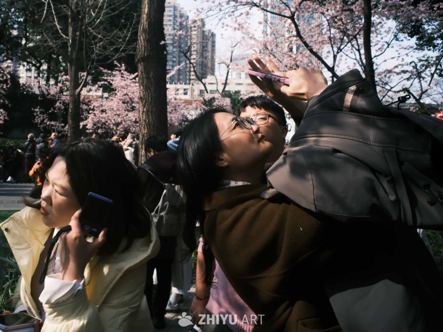 春日樱花下，游客拍照留念
