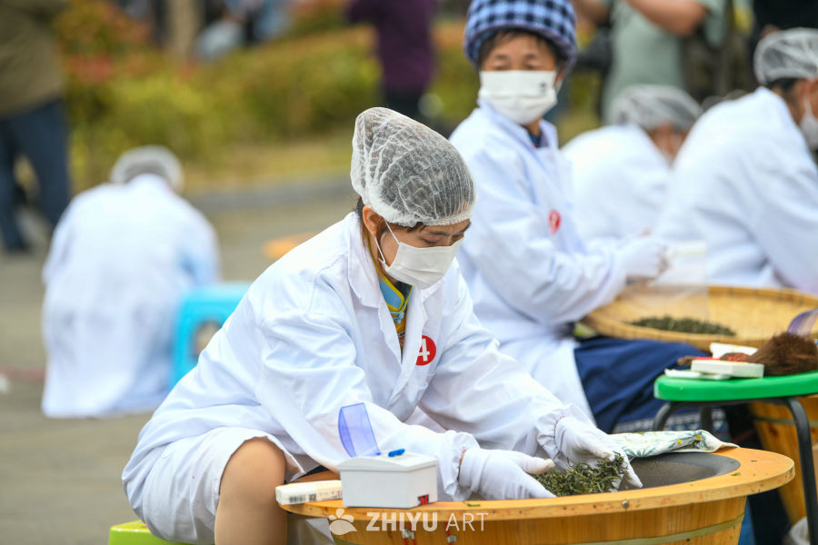 手工制茶 炒茶  茶叶产业 4