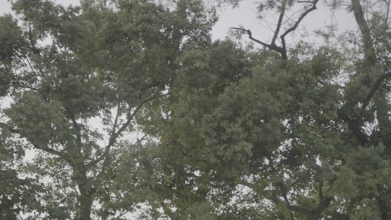 骑行 1