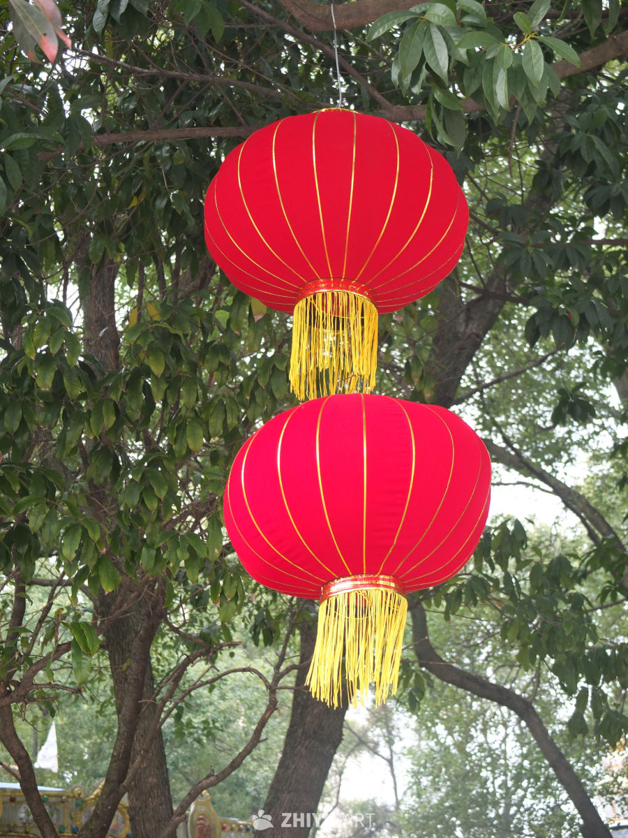 公园 26
