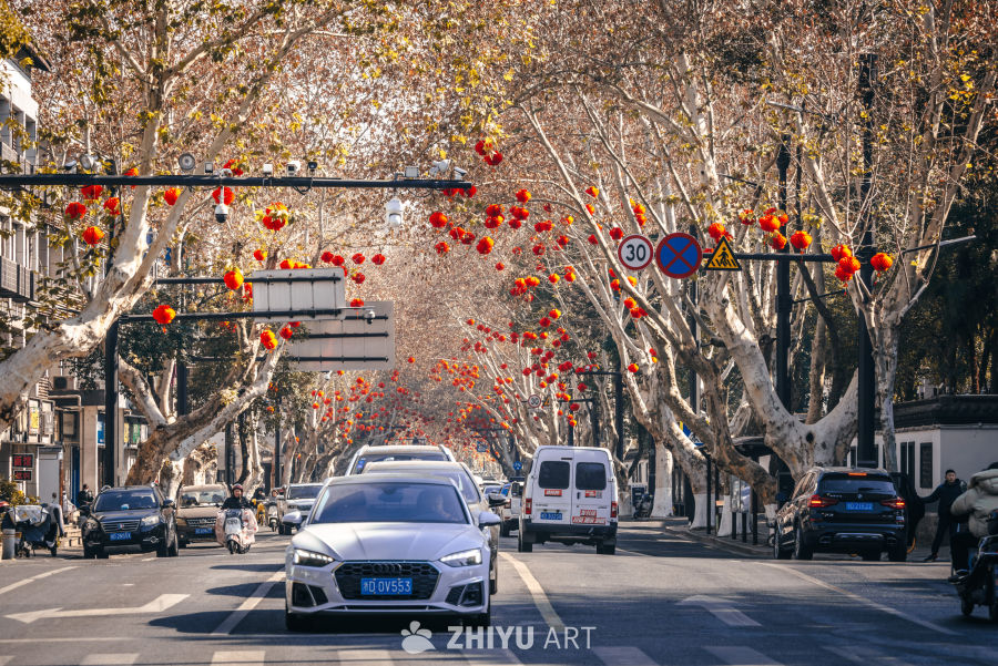 梧桐暖径，古城年味