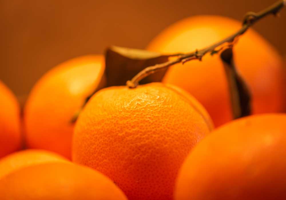 橙橙色水果维生素