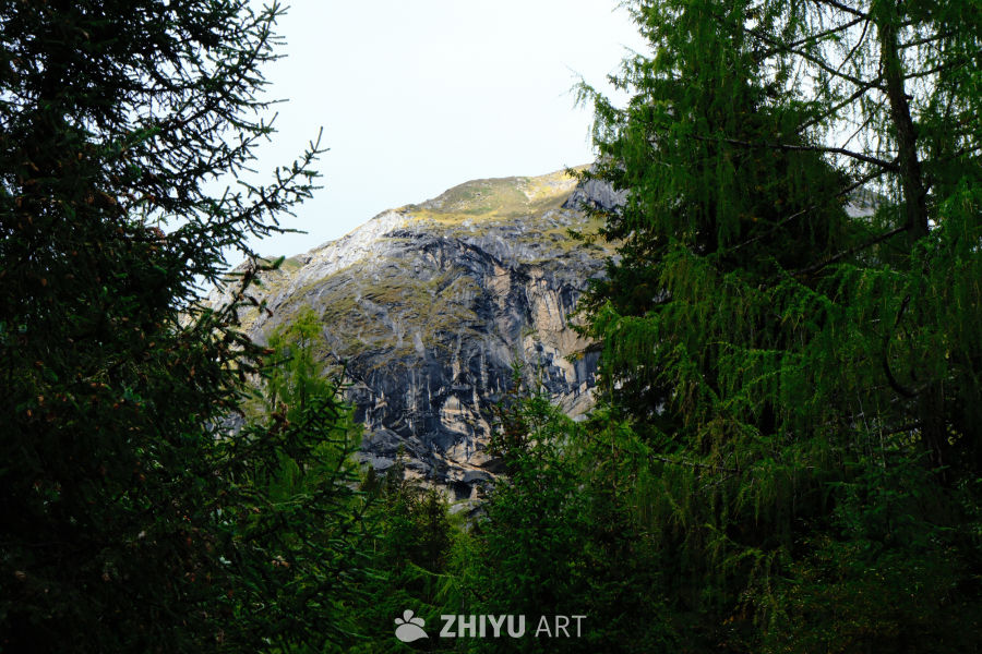 四姑娘山风景