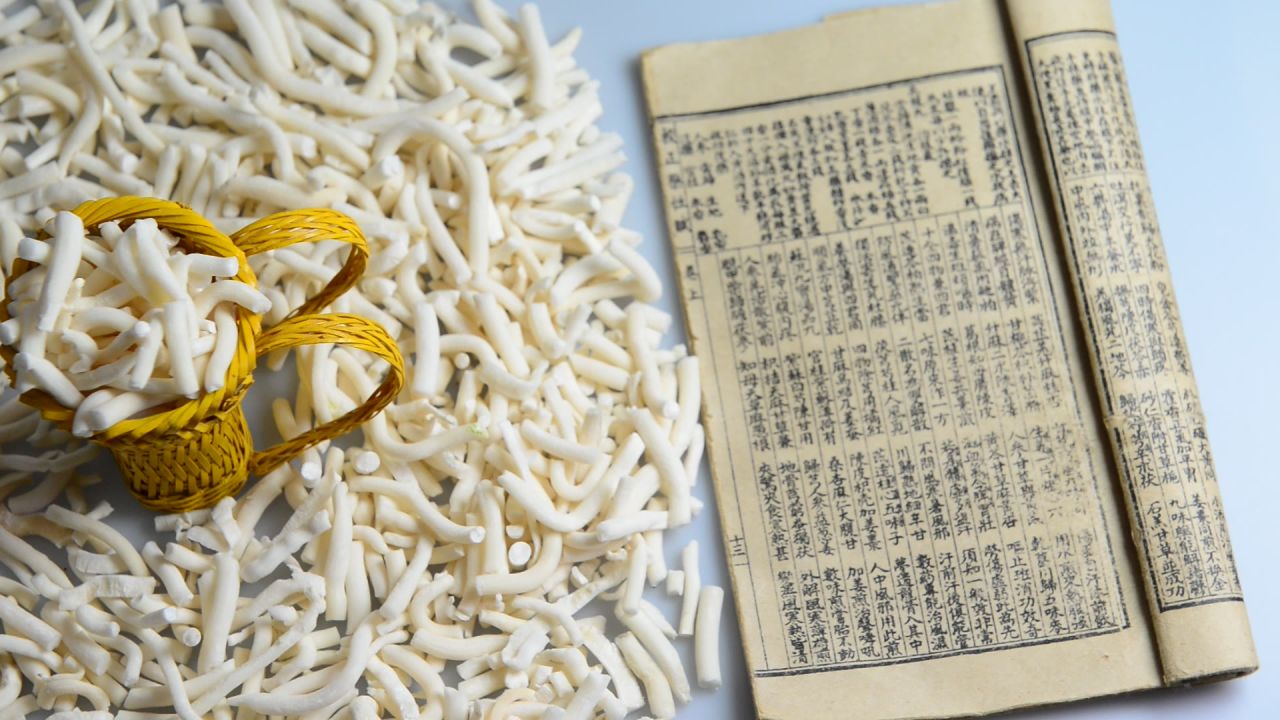绣球小通草 20