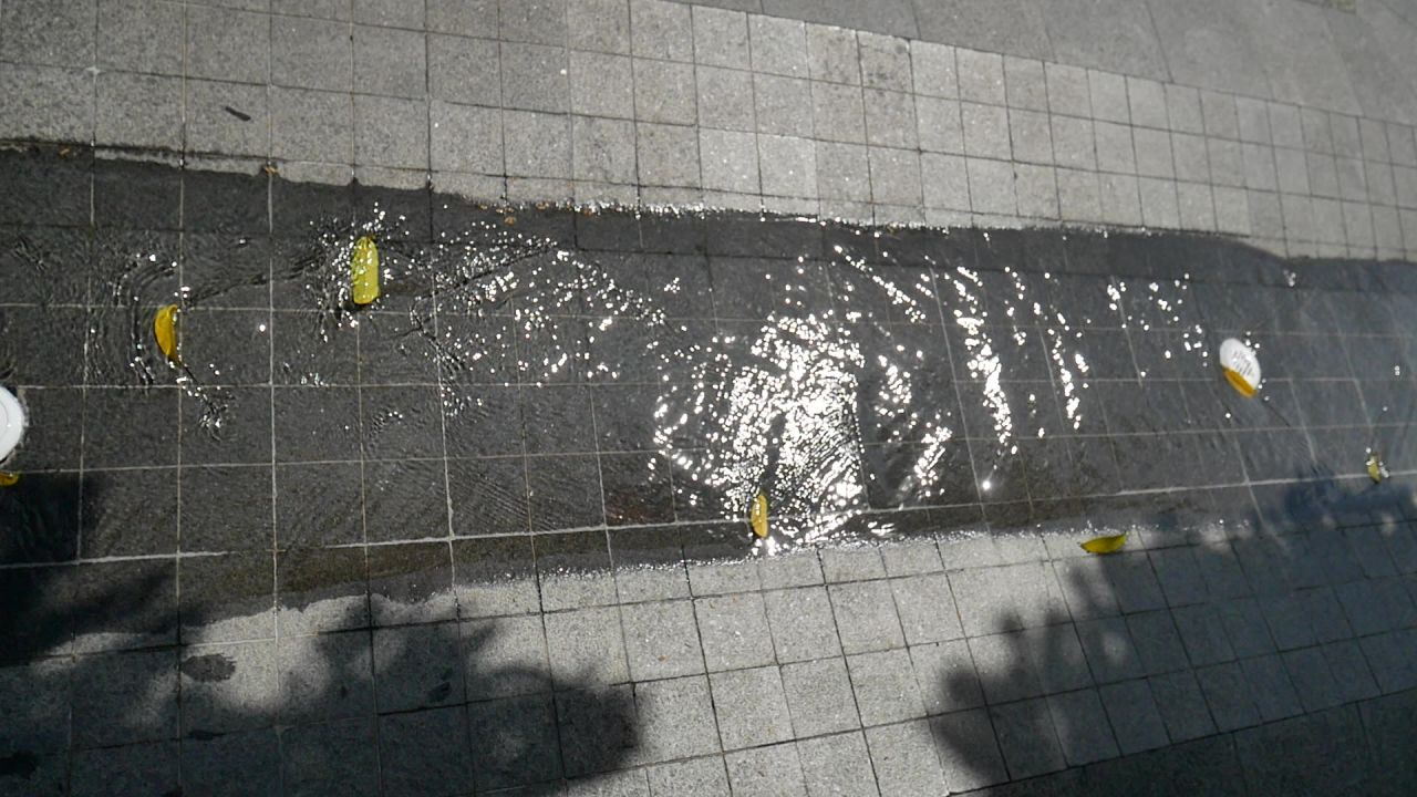 微风树影与流水波光