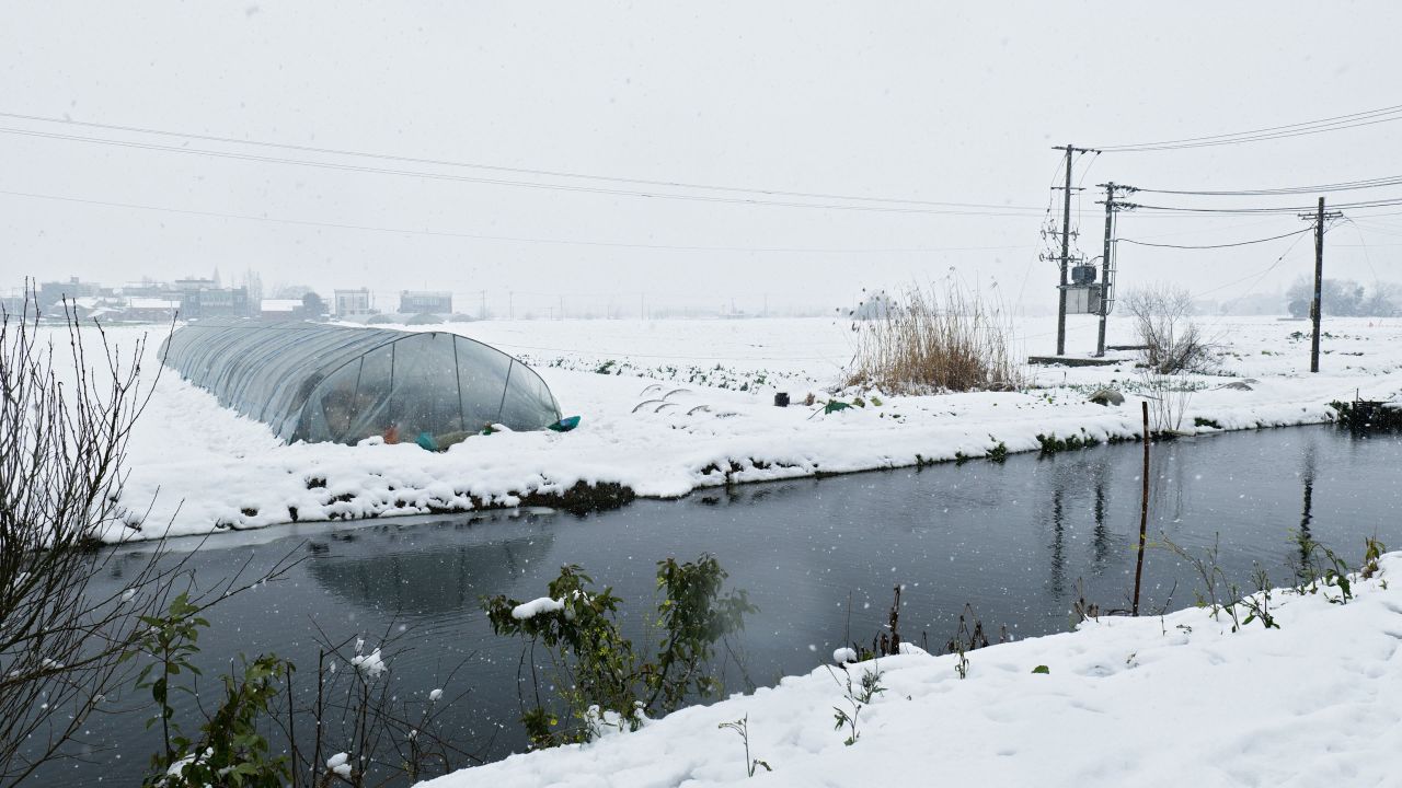 冬天冬季下雪花飘雪白雪皑皑4K