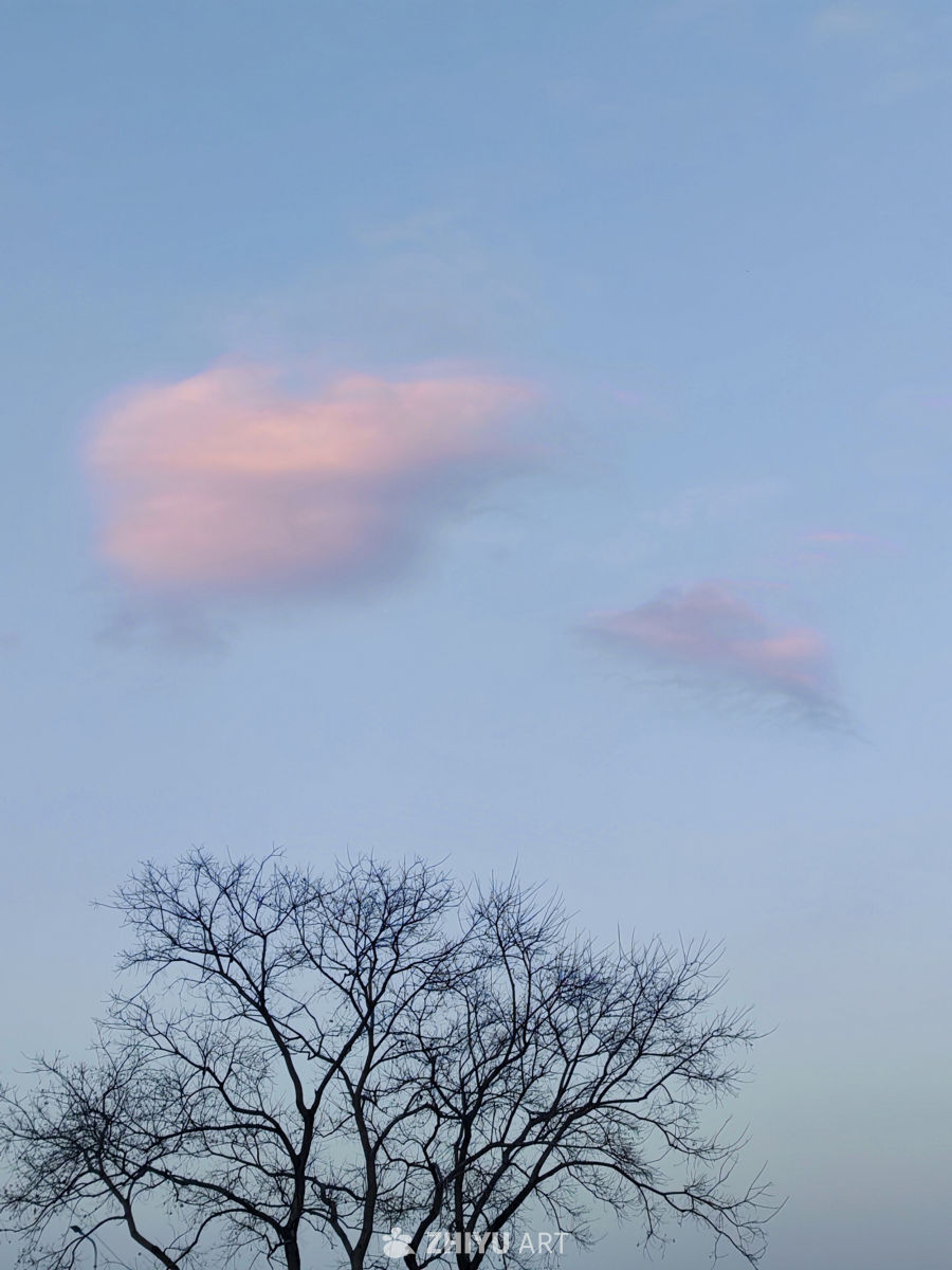 好像拍到一幅画