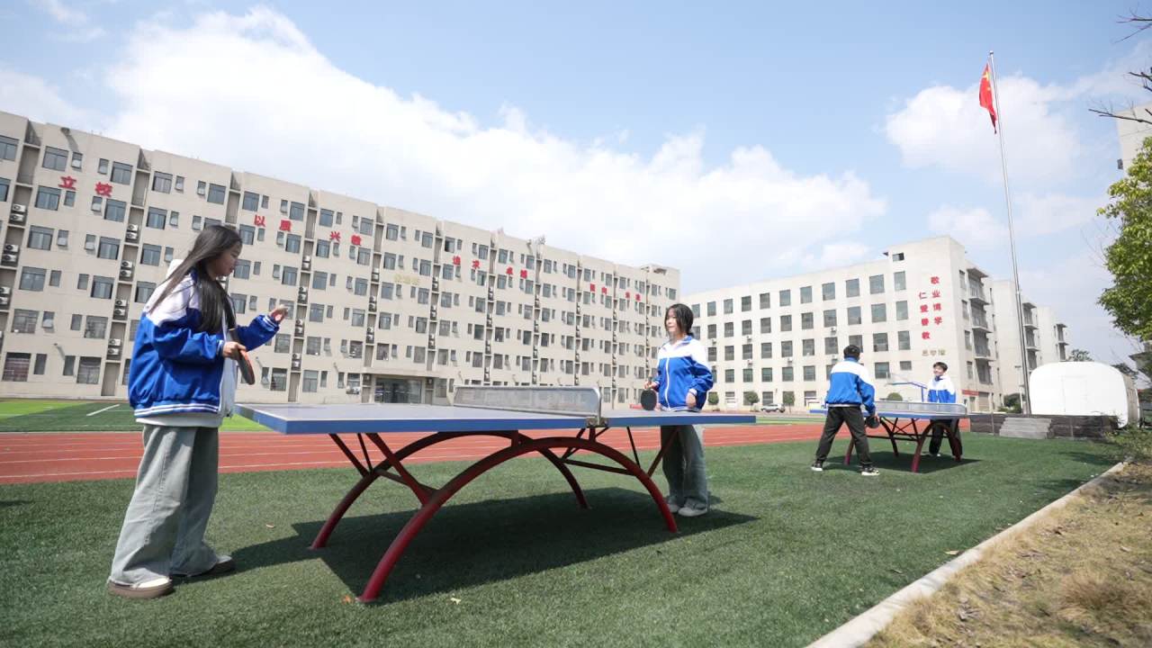 运动 31