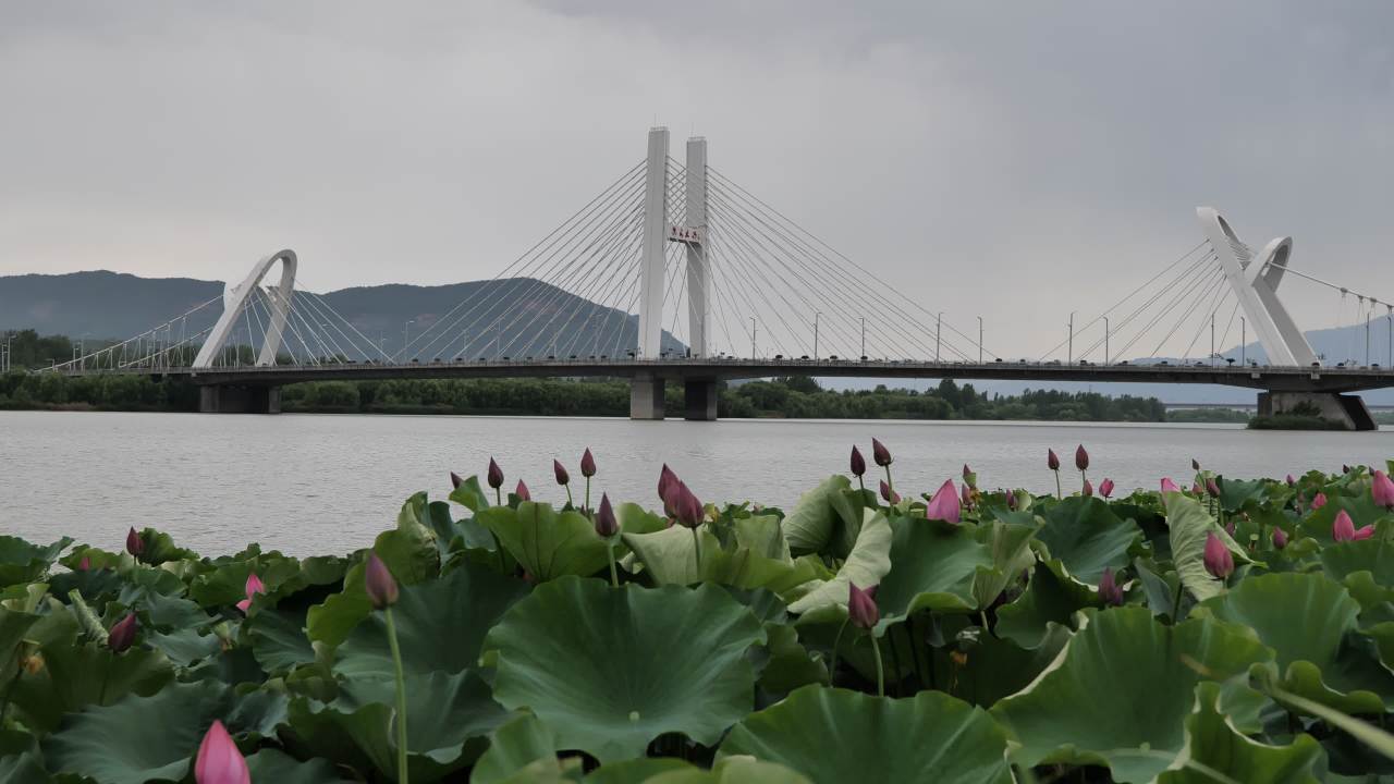 美丽的大桥 1