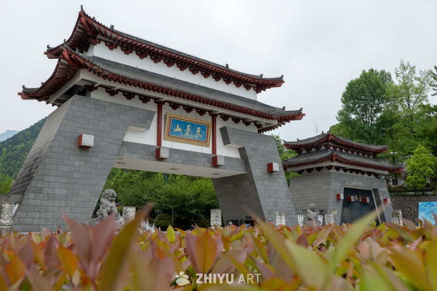 森林公园 5