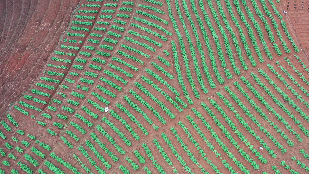 产业 3