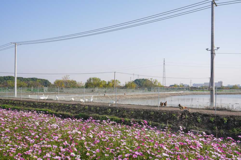 昆山横娄村