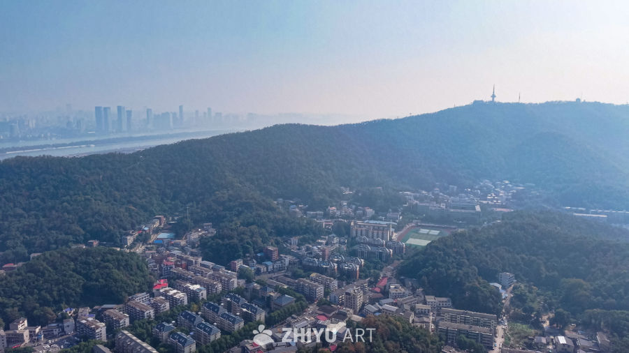 城市山丘间的宁静生活
