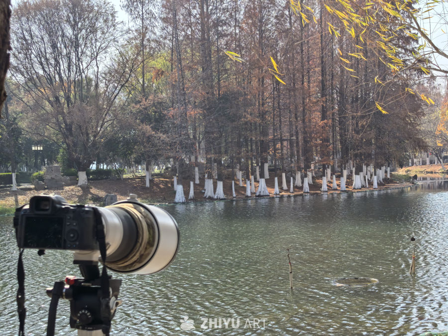 长枪短炮打鸟队