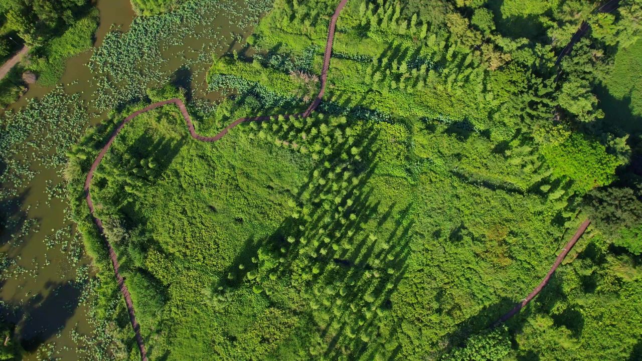 航拍漳州龙文郊野公园