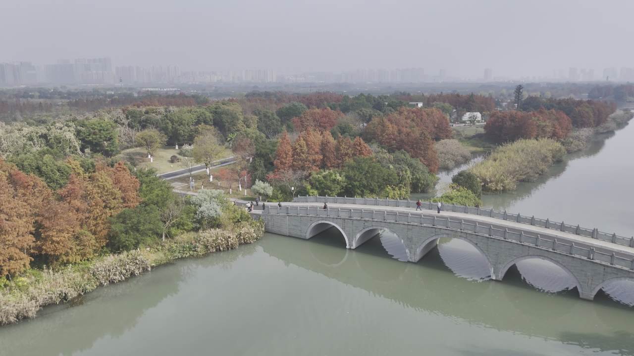 冬日的湿地 24