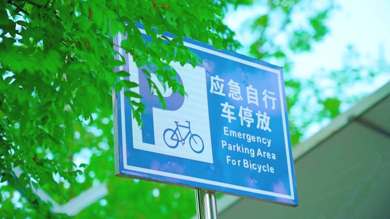 自然 9