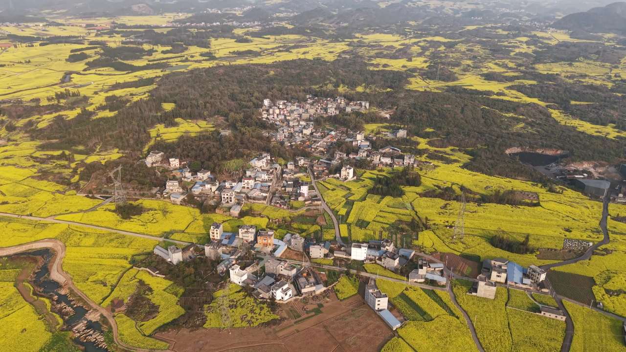 油菜花环绕的宁静村庄