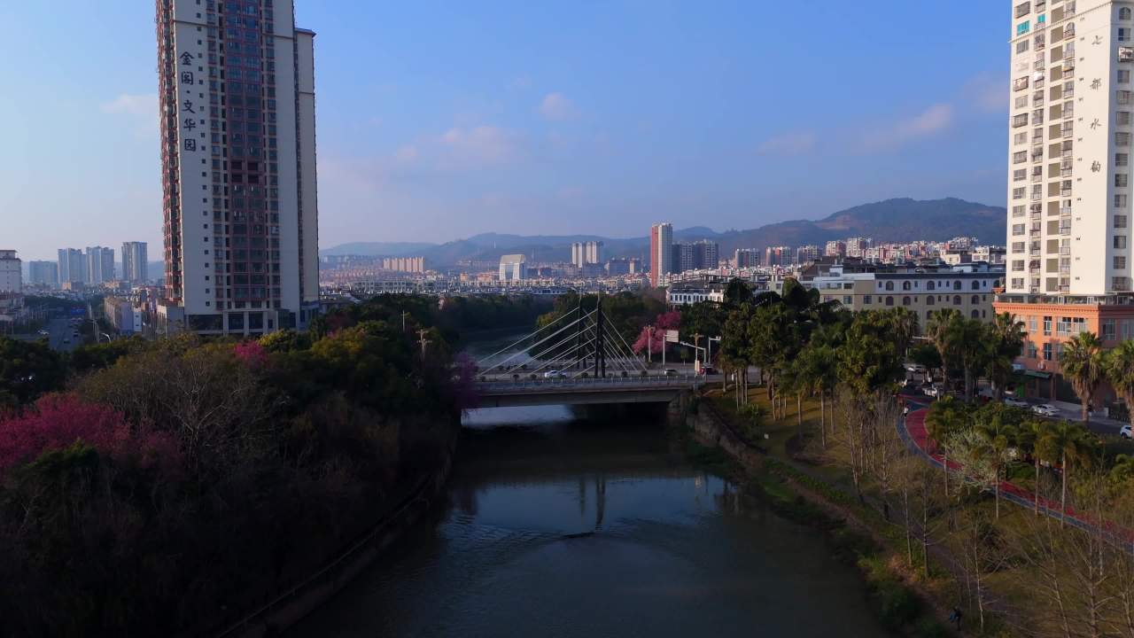 城市河畔的宁静时光