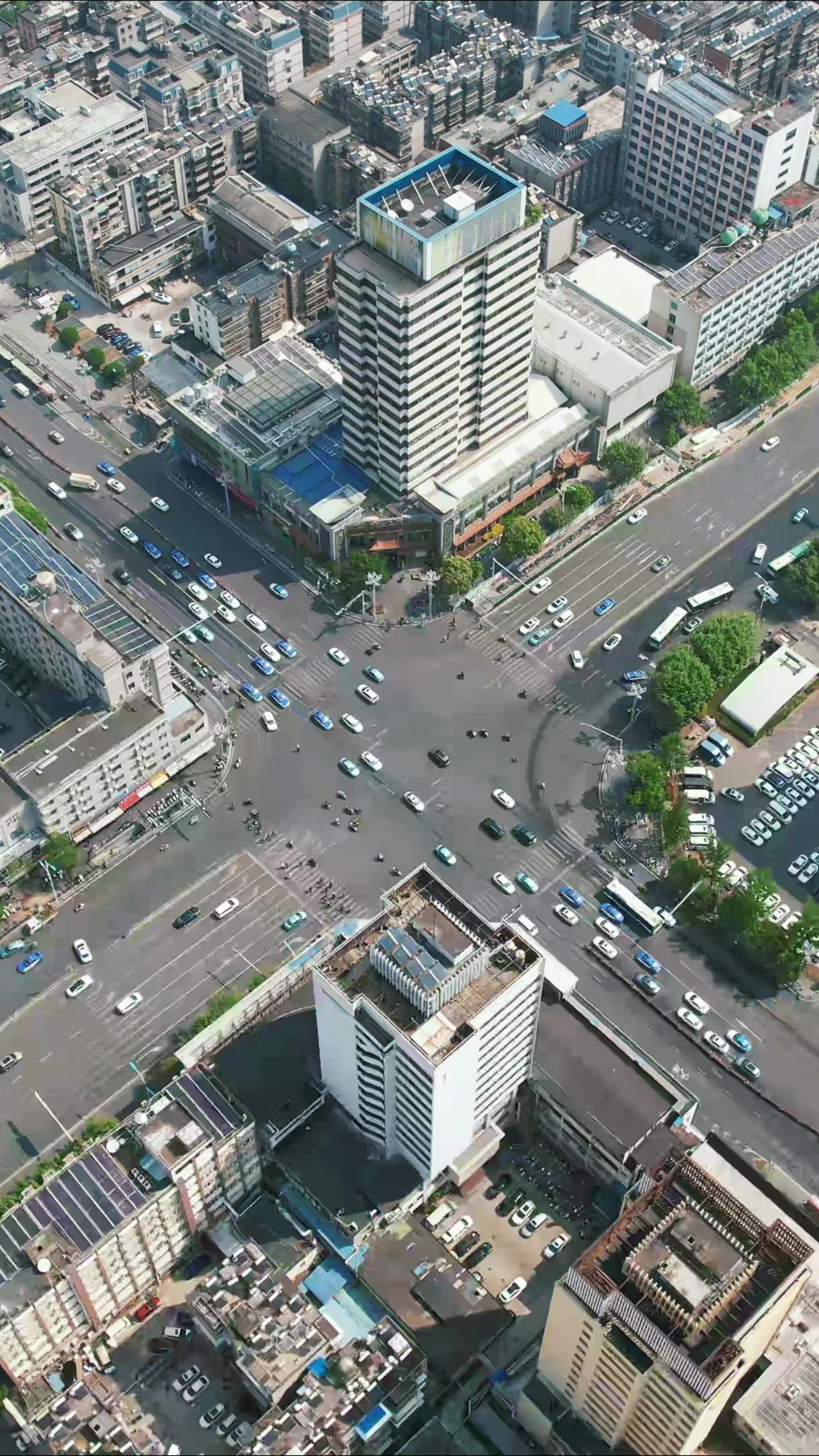 城市交通车辆行书竖屏航拍 