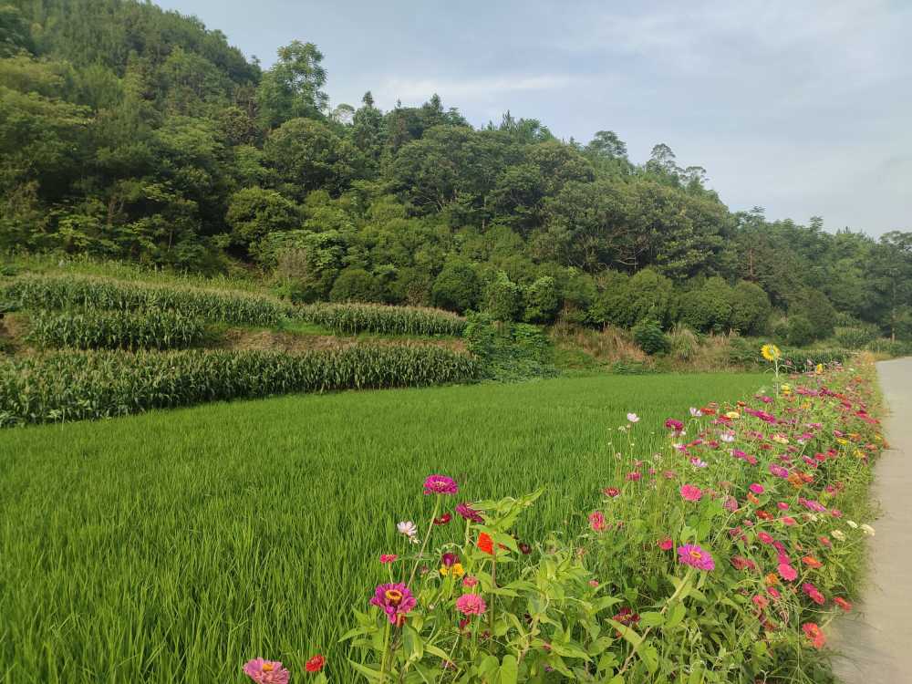 花路
