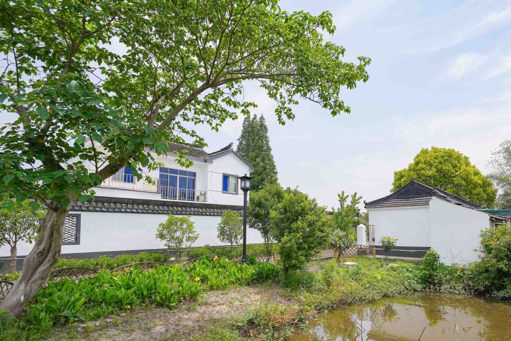 乡村振兴新风貌