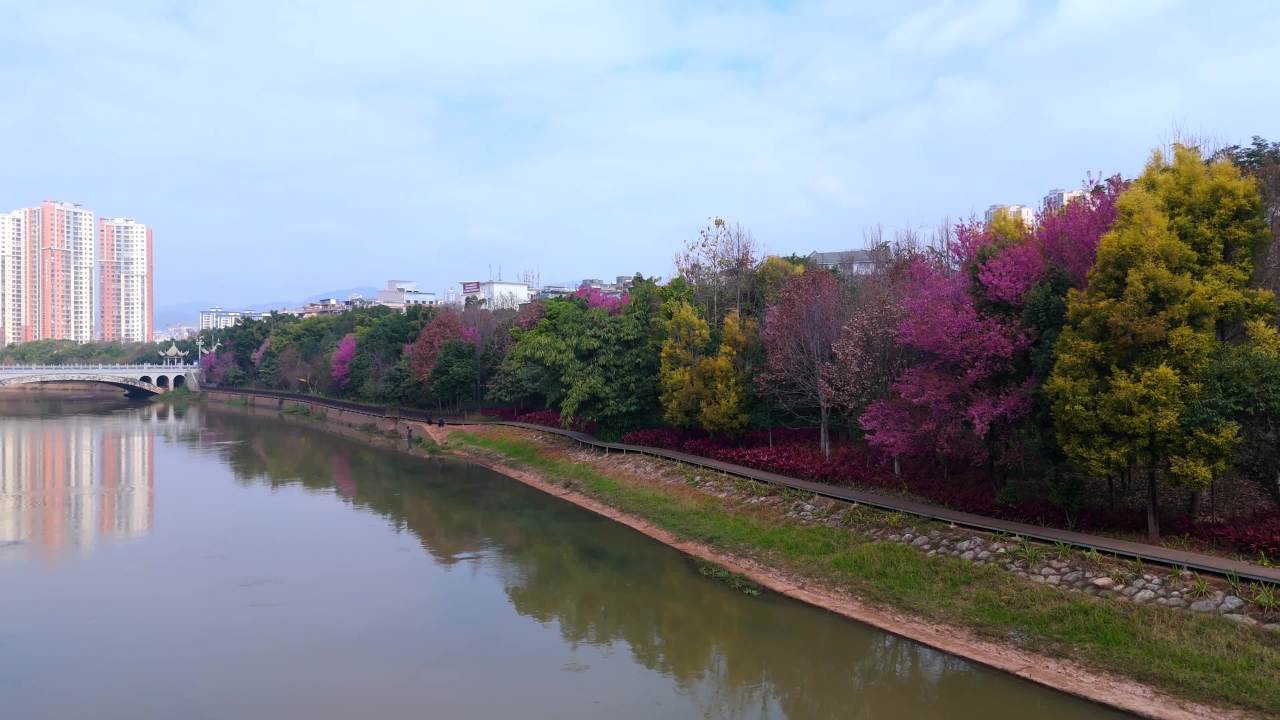 河畔静谧时光
