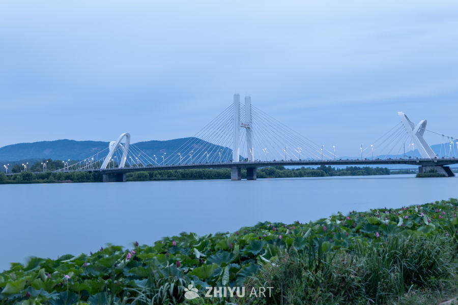 夜色下的大桥 12