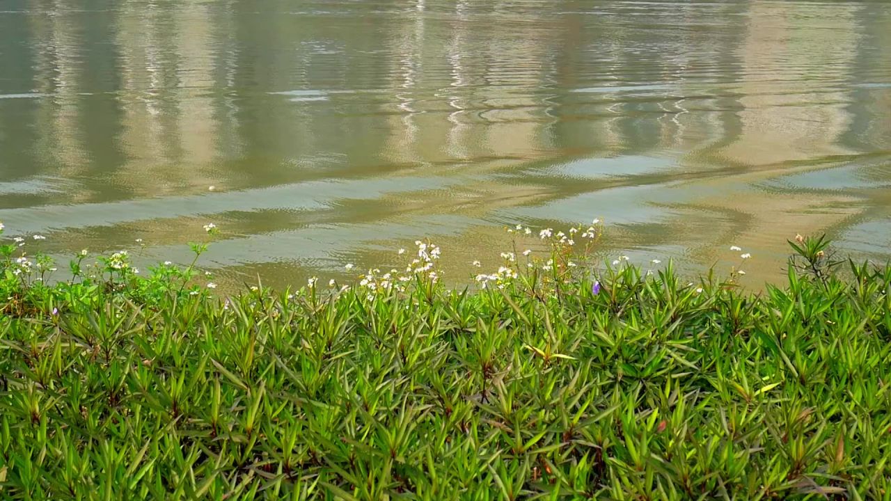 船过水波荡