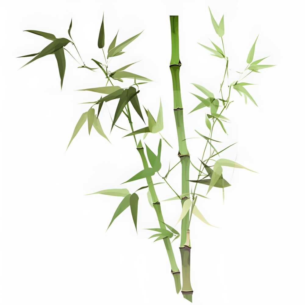 竹子叶元素超级高清