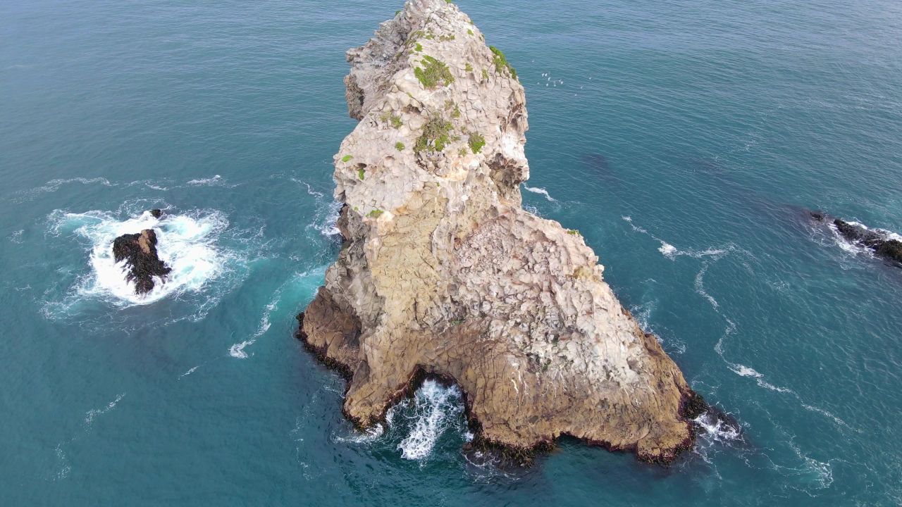 航拍新西兰南岛达尼丁sandfly bay南太平洋大海中的岛屿 6