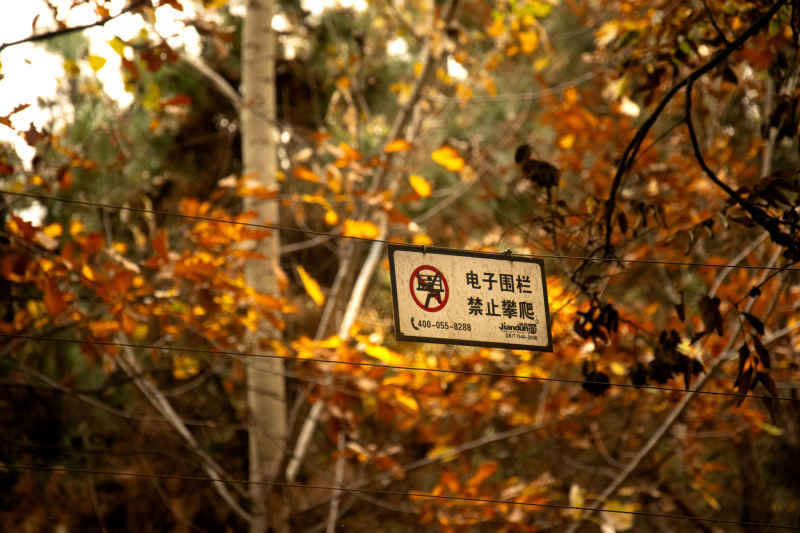 被锁在外面的风光