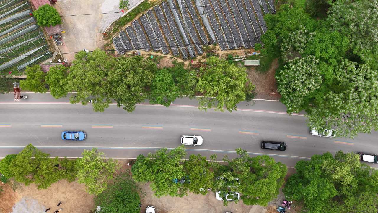 公路 8