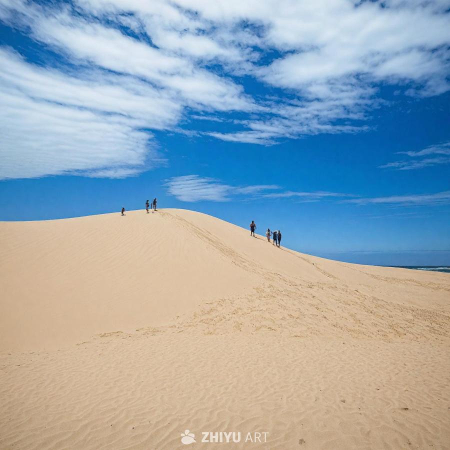 一群人站在沙丘顶上，背景是海洋。沙丘很大，人们分散