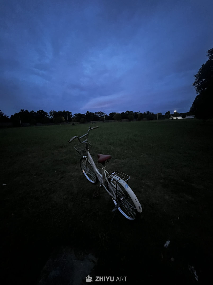 黄昏草地上的旧自行车