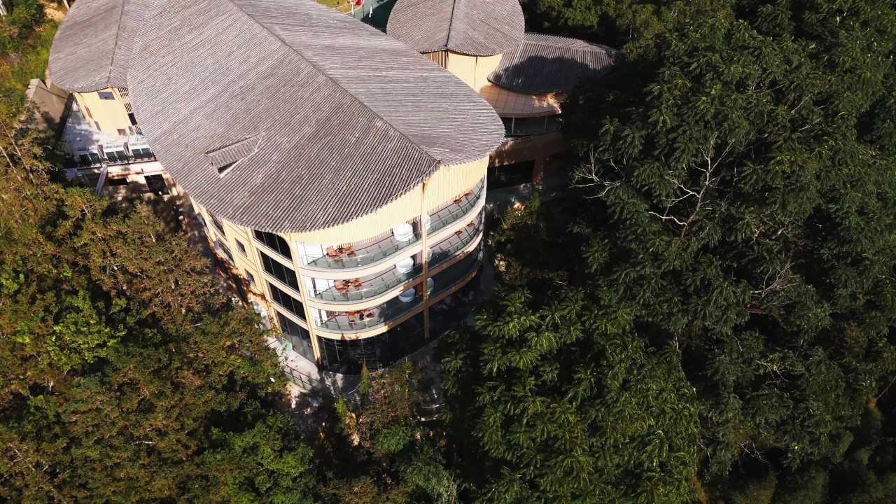 森林中的现代建筑