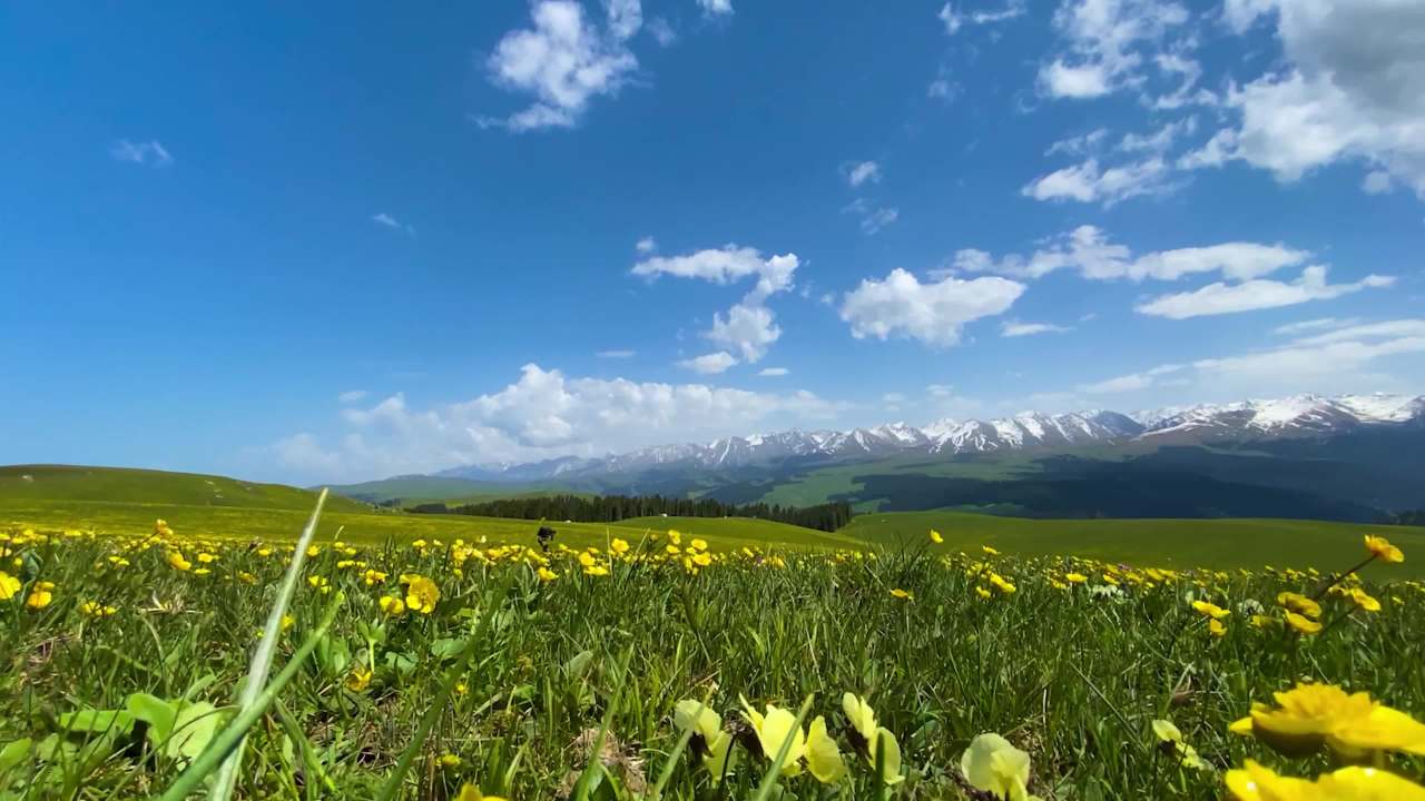 草原森林山脉自然风光