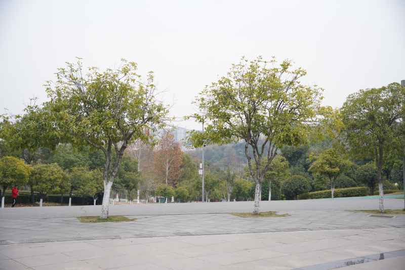 城市 32