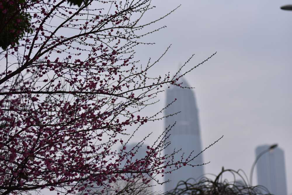 2020.1.22 雅戈尔动物园