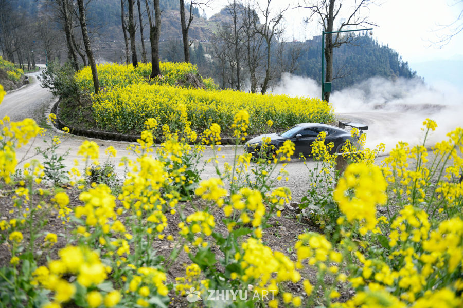 公路汽车 6