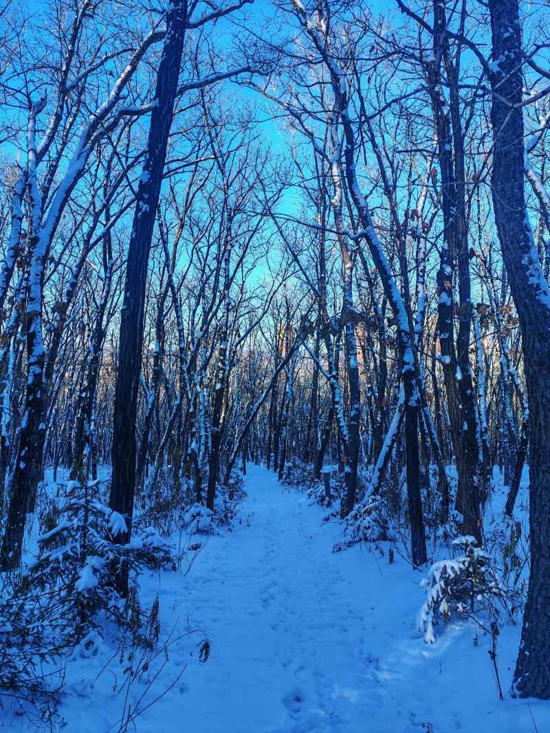 雪景 雪天 初雪 冬天 冬季 落雪